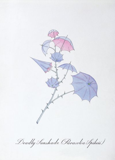 Sombrilla mortal (Parasolia Spikeii.), ilustración de 