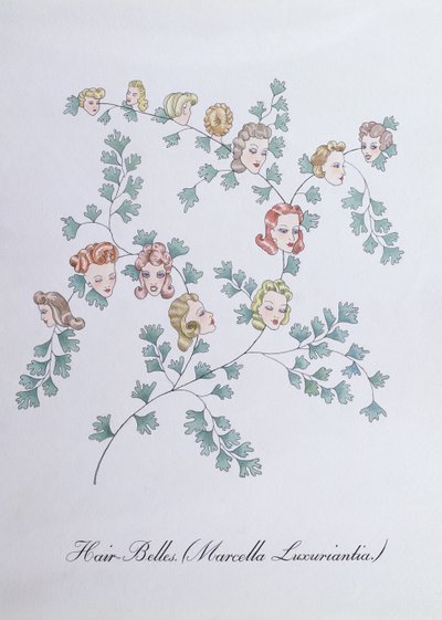 Hair-Belles (Marcella Luxuriantia), ilustración de "The Bogus Book of Botany" de John Weir de John Weir
