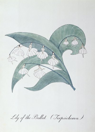 Lirio del Ballet (Terpsichorea.), ilustración de 