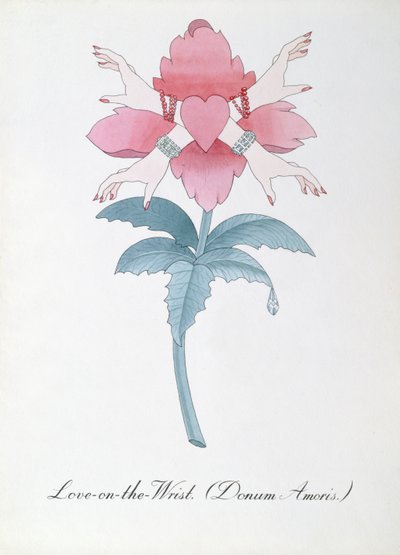 Ilustración del amor en la muñeca (Donum Amoris.) de "The Bogus Book of Botany" de John Weir de John Weir