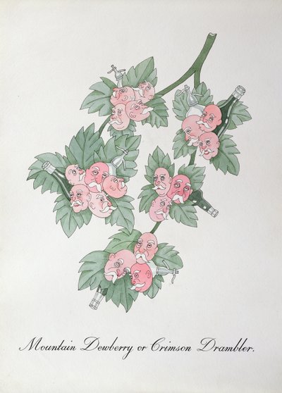 Mountain Dewberry o Crimson Drambler, ilustración de "The Bogus Book of Botany" de John Weir de John Weir