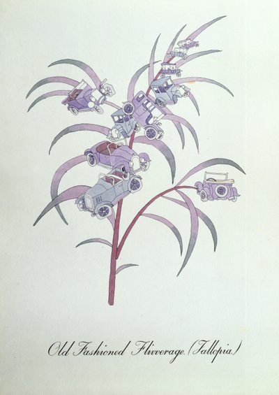 Flivaje antiguo (Fallopia.), ilustración de 