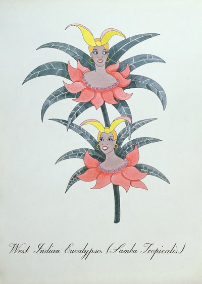 Eucalipso de las Indias Occidentales (Samba Tropicalis.), ilustración de 
