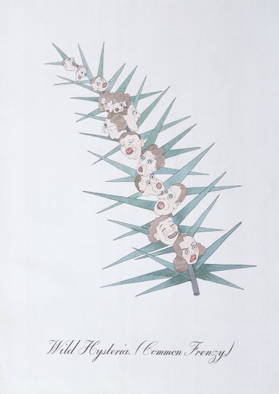 Histeria salvaje (Frenesí común.), ilustración de 