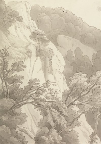 Canonteign de John White Abbott