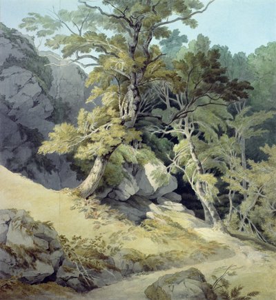 Canonteign, Devon de John White Abbott