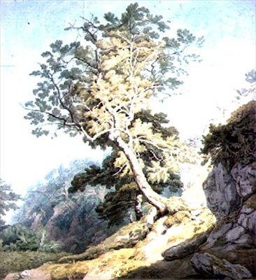 Vista cerca de Canonteign, Devon de John White Abbott