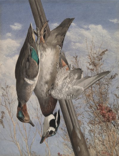 Aves de caza colgantes de John William Hill