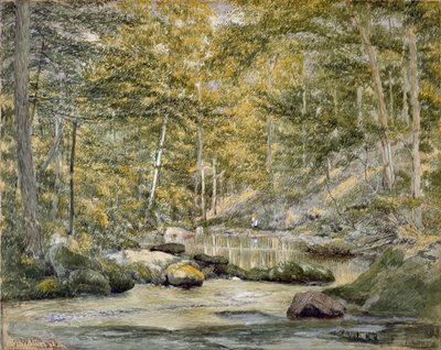 Charca en el bosque con hombres pescando, 1870 de John William Hill
