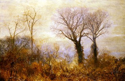 Cuando el Desperdicio del Invierno Estaba Casi Gastado de John William North