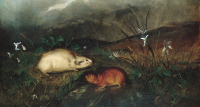 Lemming de la Bahía de Hudson de John Woodhouse Audubon