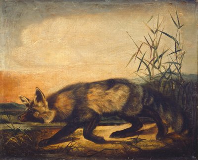  de John Woodhouse Audubon