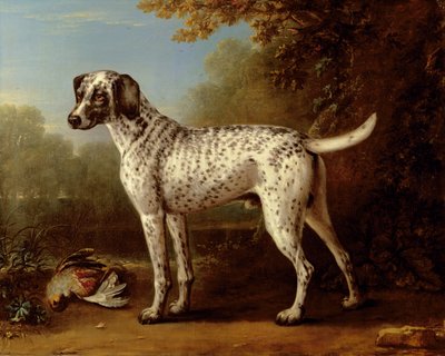 Perro gris moteado de John Wootton
