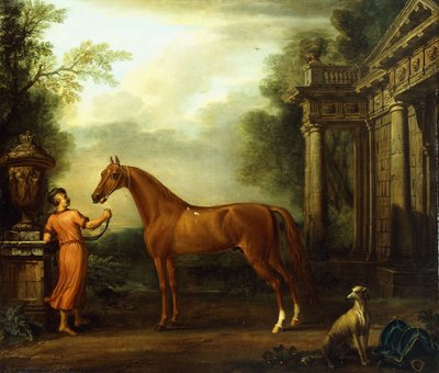 El árabe castaño de Hampton Court, c.1726 de John Wootton