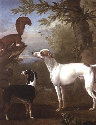 Dos perros deportivos atraídos por una ardilla en un tocón de árbol de John Wootton