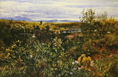 Paisaje Extenso con Flores Silvestres, c.1855-1860 de John Wright Oakes