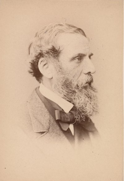 Richard Ansdell, 1860s de John and Charles Watkins