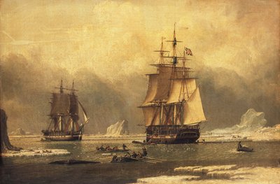 El "Cisne" y "Isabella" cazando ballenas en el Ártico de John of Hull Ward