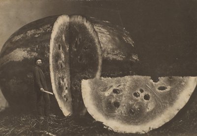 Hombre cortando sandía, 1898-1903 de Johnson