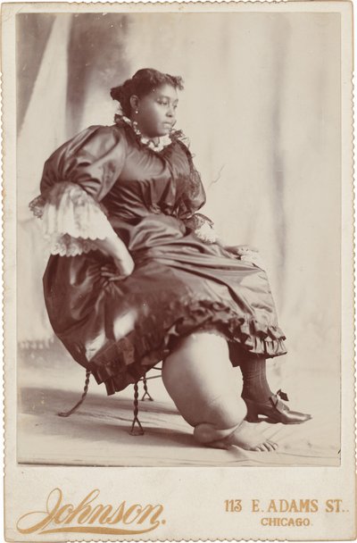 Retrato de mujer,c. 1890 (foto) de Johnson
