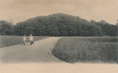 El árbol de Bunyan, Jardines Botánicos. Calcuta, 1906 de Johnston and Hoffmann