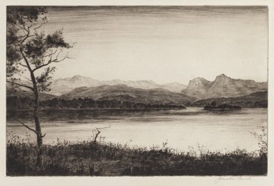 Langdale Pikes, Windermere de Johnstone Baird