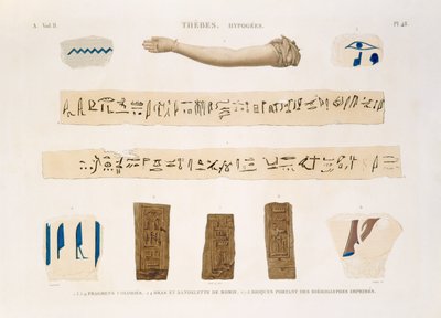 Ilustraciones de jeroglíficos y el brazo de una momia de Hipogeos, Tebas, lámina 48 del Vol II de 