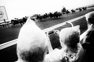 The Goodwood Estate en West Sussex, Reino Unido, 2019 (foto) de Jon Nicholson
