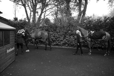 The Goodwood Estate en West Sussex, Reino Unido, 2019 (foto) de Jon Nicholson