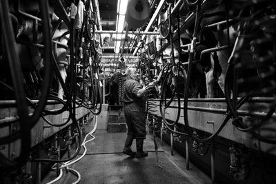 The Goodwood Estate en West Sussex, Reino Unido, 2019 (foto) de Jon Nicholson