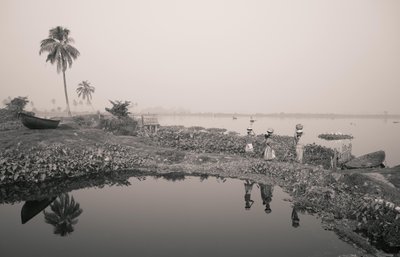 Pesca en humedales en Calcuta, 2016 (foto) de Jon Nicholson