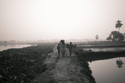 Pesca en humedales en Calcuta, 2016 (foto) de Jon Nicholson