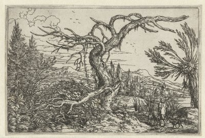 Paisaje con el árbol seco de Jonas Umbach