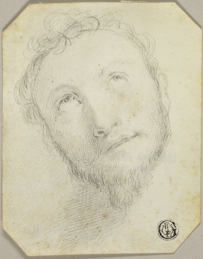 Cabeza de hombre barbudo mirando hacia arriba de Jonathan Richardson the Elder