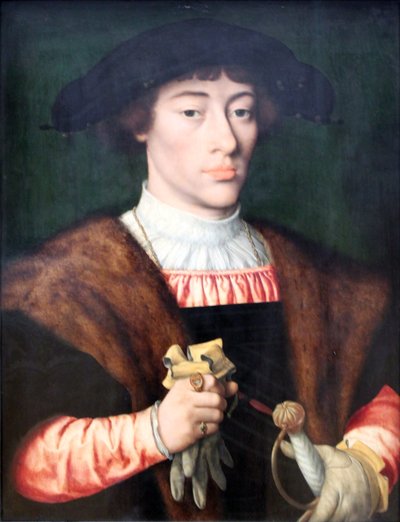 Retrato de un joven de Joos van Cleve