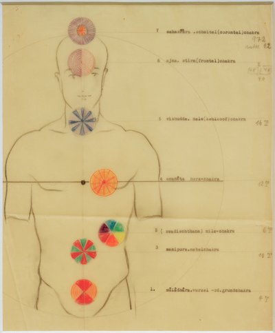 Los siete chakras de Joost Schmidt