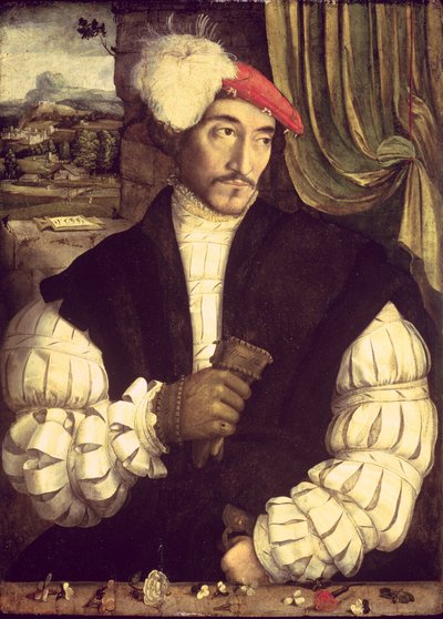 Retrato de un hombre, 1533 de Jorg I Breu