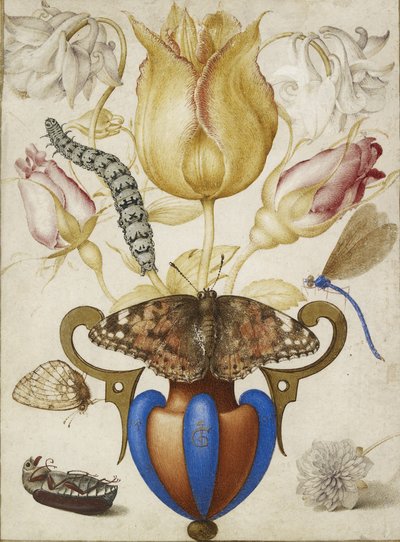 Arreglo de flores en un jarrón, con insectos, 1594 de Joris Hoefnagel