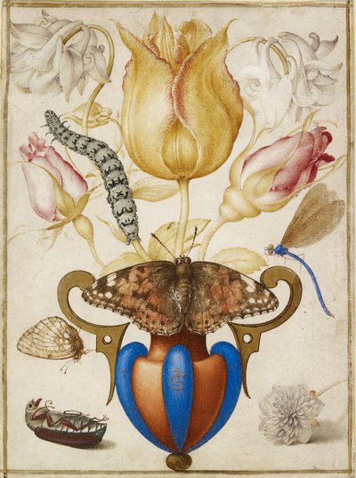 Arreglo de flores en un jarrón, con insectos de Joris Hoefnagel