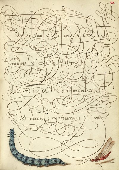 Oruga e insecto de Joris Hoefnagel