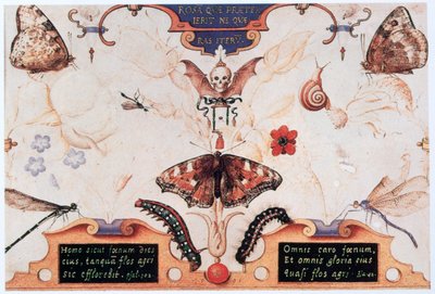 Díptico con flores e insectos, 1591 de Joris Hoefnagel