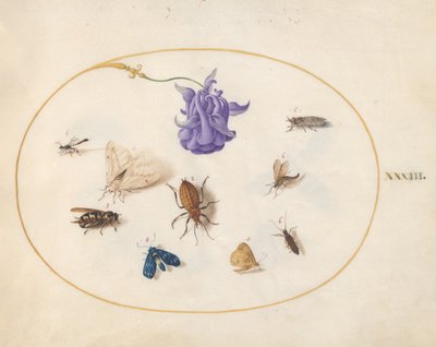 Insectos, c.1575-80 de Joris Hoefnagel