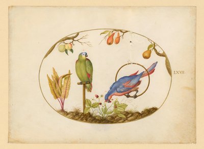  de Joris Hoefnagel