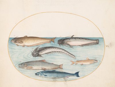  de Joris Hoefnagel