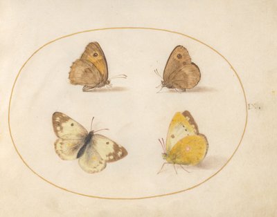  de Joris Hoefnagel