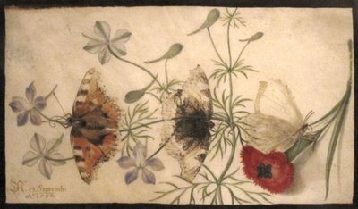 Estudios de flores y mariposas de Joris Hoefnagel