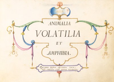 Página de Título de Joris Hoefnagel