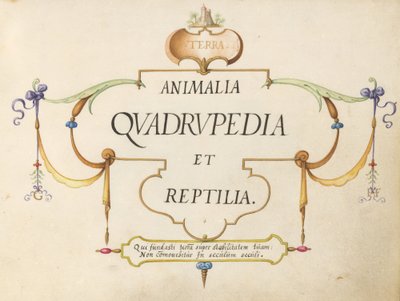 Página del título de Joris Hoefnagel