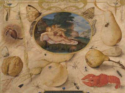 "Venus desarmando a Amor" en un medallón rodeado de plantas, frutas, insectos y mariscos de Joris Hoefnagel