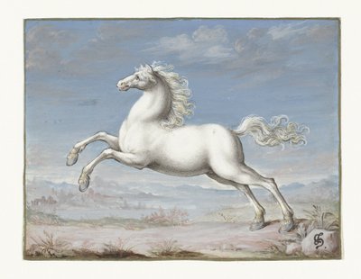 Caballo blanco de Joris Hoefnagel